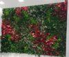 Foliage & Dense Forest