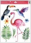 Motive tropicale- pasari